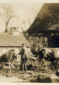 Schömberg als Bauerndorf